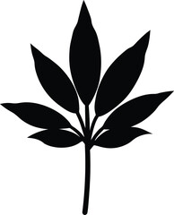 pale indian plantain silhouette vector on white 