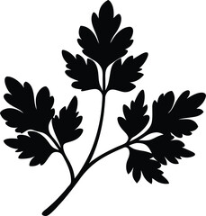 parsley sprig silhouette vector on white 