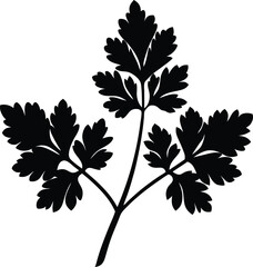parsley sprig silhouette vector on white 