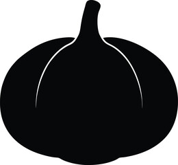 pattypan squash silhouette vector on white 