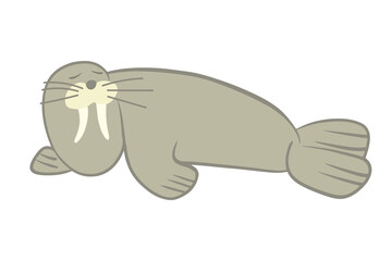 Vector isolated illustration of a walrus on a white background.
