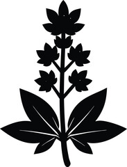 prairie alumroot flower silhouette vector on white 