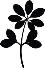 purslane leaf silhouette vector illustration 