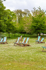 Empty Deck Chairs on a Park Lawn Surrounded by Green Trees