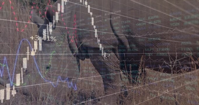 Elephant mother and calf grazing amid savanna grassland while stock charts flowing across landscape
