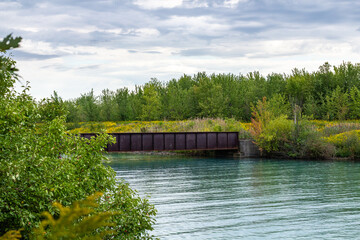 Fototapeta premium Scenic Waterfront Landscape with Trees, Bridge, and Cloudy Sky