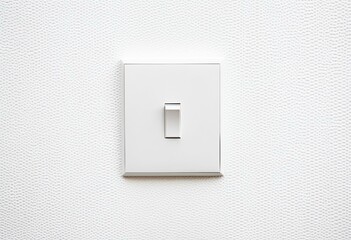 A white light switch on a white wall.