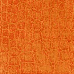 Animal seamless skin pattern reptile and crocodile. Safari background paper.