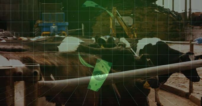 Row of dairy cows feeding inside farm barn, showing animated tractor data charts and feed graphs