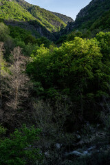 Mao river canyon, Ribeira Sacra, Parada de Sil, Ourense province, Galicia, Spain