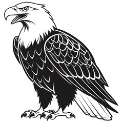Black and White Line Art of a Front-Facing Eagle Standing with Wings Folded and Intense Expression