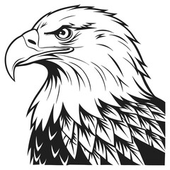Black and White Line Art of a Front-Facing Eagle Standing with Wings Folded and Intense Expression
