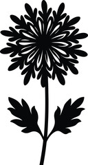 roundleaf ragwort flower silhouette vector 