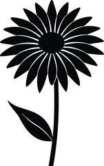 rudbeckia flower silhouette vector on white 