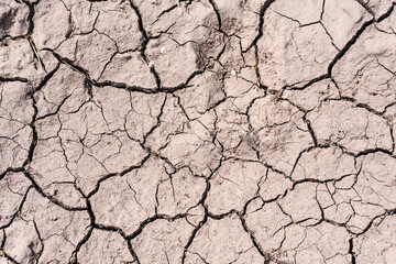 The texture of dry cracked soil is light brown in color, illuminated by sunlight, square photo.