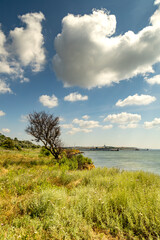 Wildflowers bloom along the picturesque Black Sea coast under a serene sky