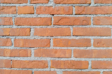 Obraz premium Evenly Laid Red Brick Wall with Gray Mortar
