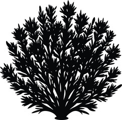 sagebrush silhouette vector on white background