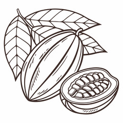 hand drawn vector illustration of ripe fruits