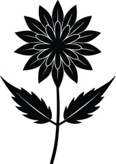 sarsaparilla flower silhouette vector on white 
