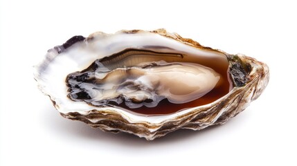 Single fresh oyster in shell with liquor, isolated on white.