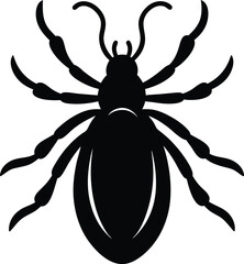 showy tick trefoil silhouette vector on white 