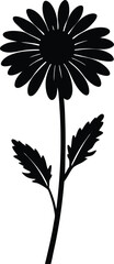 sneezeweed flower silhouette vector on white backg 