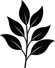 solomon s seal silhouette vector on white 