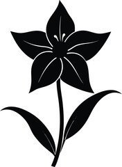 spiderwort flower silhouette vector on white 