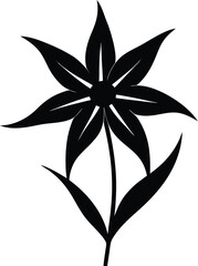 spiderwort flower silhouette vector on white