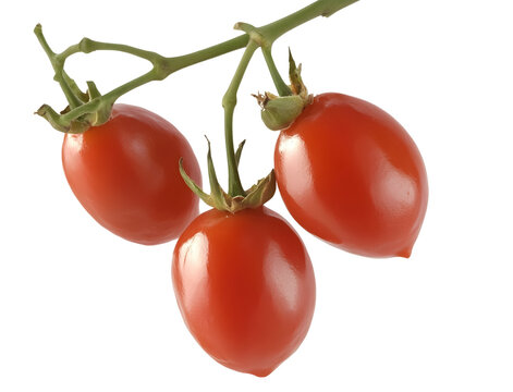 fresh red cherry tomatoes on vine isolated png transparent cutout