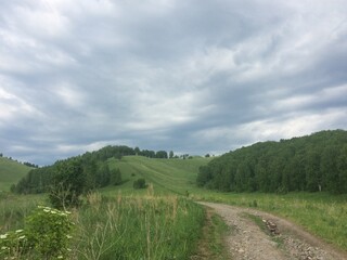Lush green hills and overcast skies along a winding dirt path in a serene countryside landscape in early spring