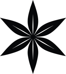 star anise silhouette vector illustration on white 