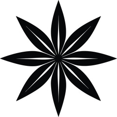 star anise silhouette vector illustration on white