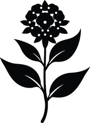 swamp milkweed flower silhouette vector on white 