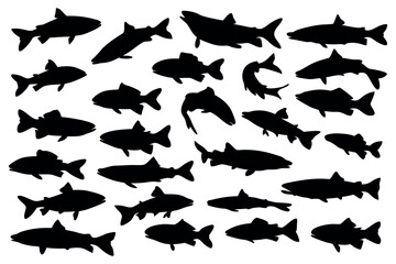 Salmon and Trout Fishing Silhouette Set Sea life