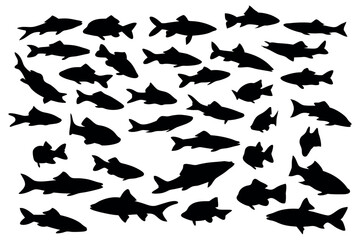 Salmon and Trout Fishing Silhouette Set Sea life