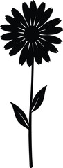 tall coreopsis flower silhouette vector on white