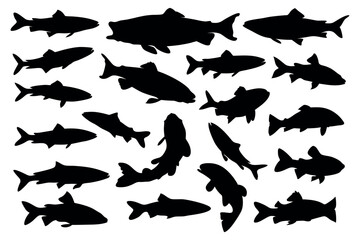 Salmon and Trout Fishing Silhouette Set Sea life
