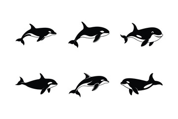 Orca whale silhouette vector  bundle, Orca whale silhouette