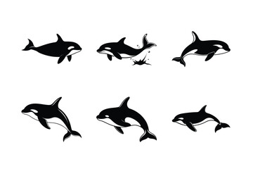 Orca whale silhouette vector  bundle, Orca whale silhouette