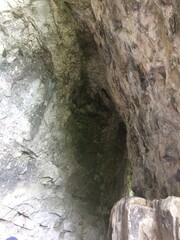 Natural rock formation revealing hidden cave entrance in a serene wilderness area near a forest during daylight hours