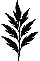 tarragon leaf silhouette vector on white 