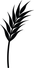 teff stalk silhouette vector on white background 