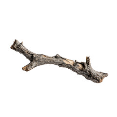 Fototapeta premium Branch, white isolate background