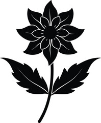 toothwort flower silhouette vector on white 