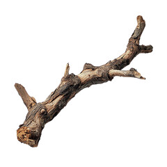 Wooden branch, white isolate background