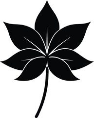 twinleaf flower silhouette vector on white 