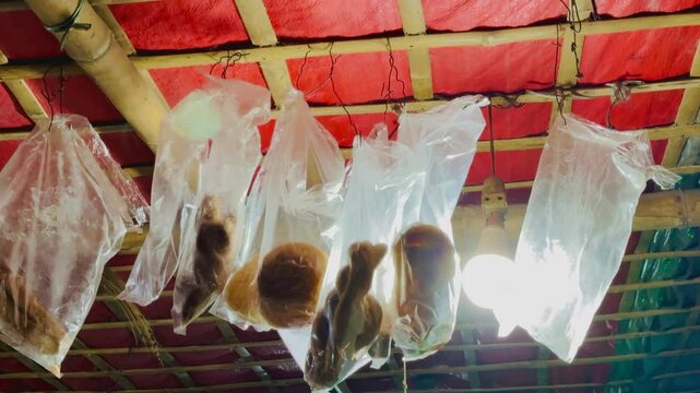 Dried Fish and Goods Hanging in Plastic Bags at Market Stall