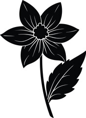 white avens flower silhouette vector on white 